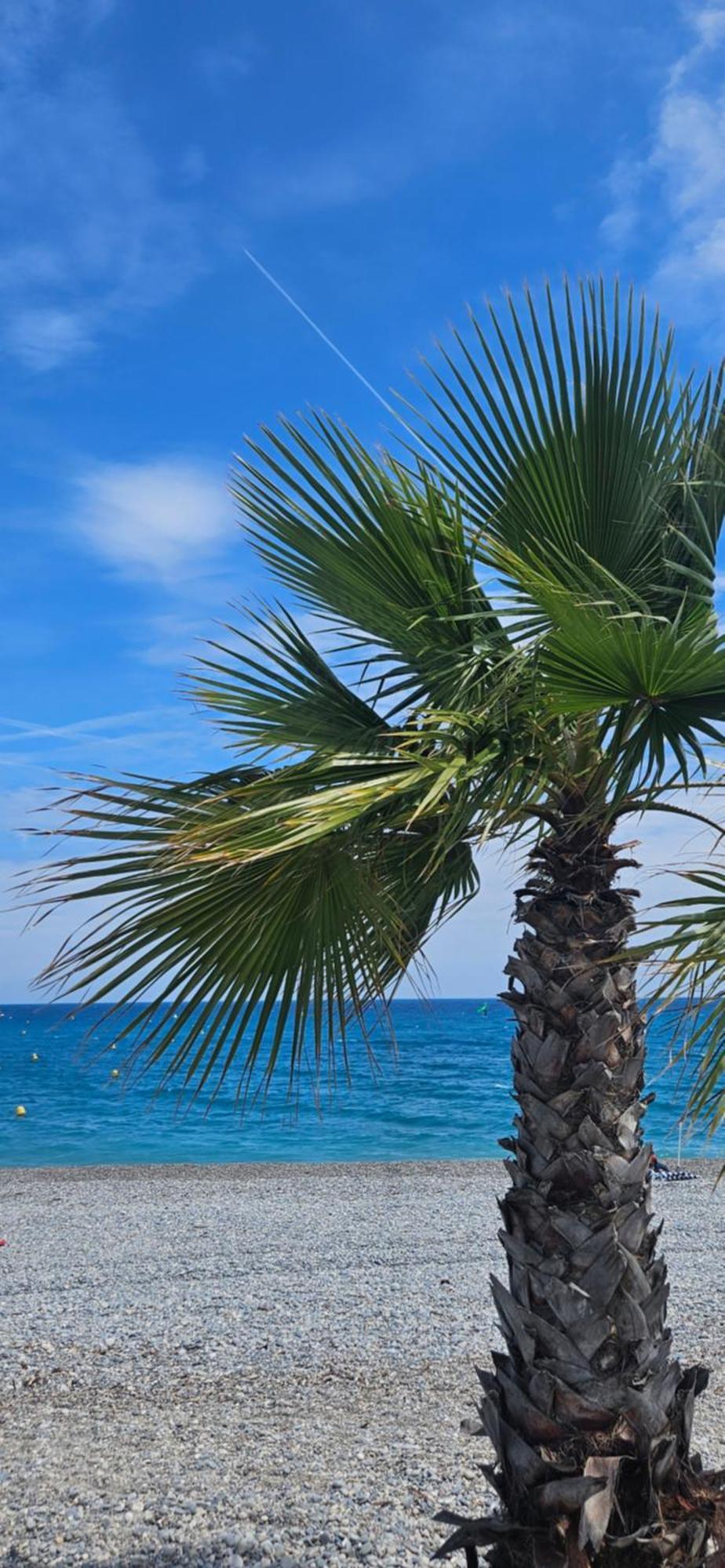 Studio Saint-Laurent-Du-Var Bord De Mer Екстериор снимка